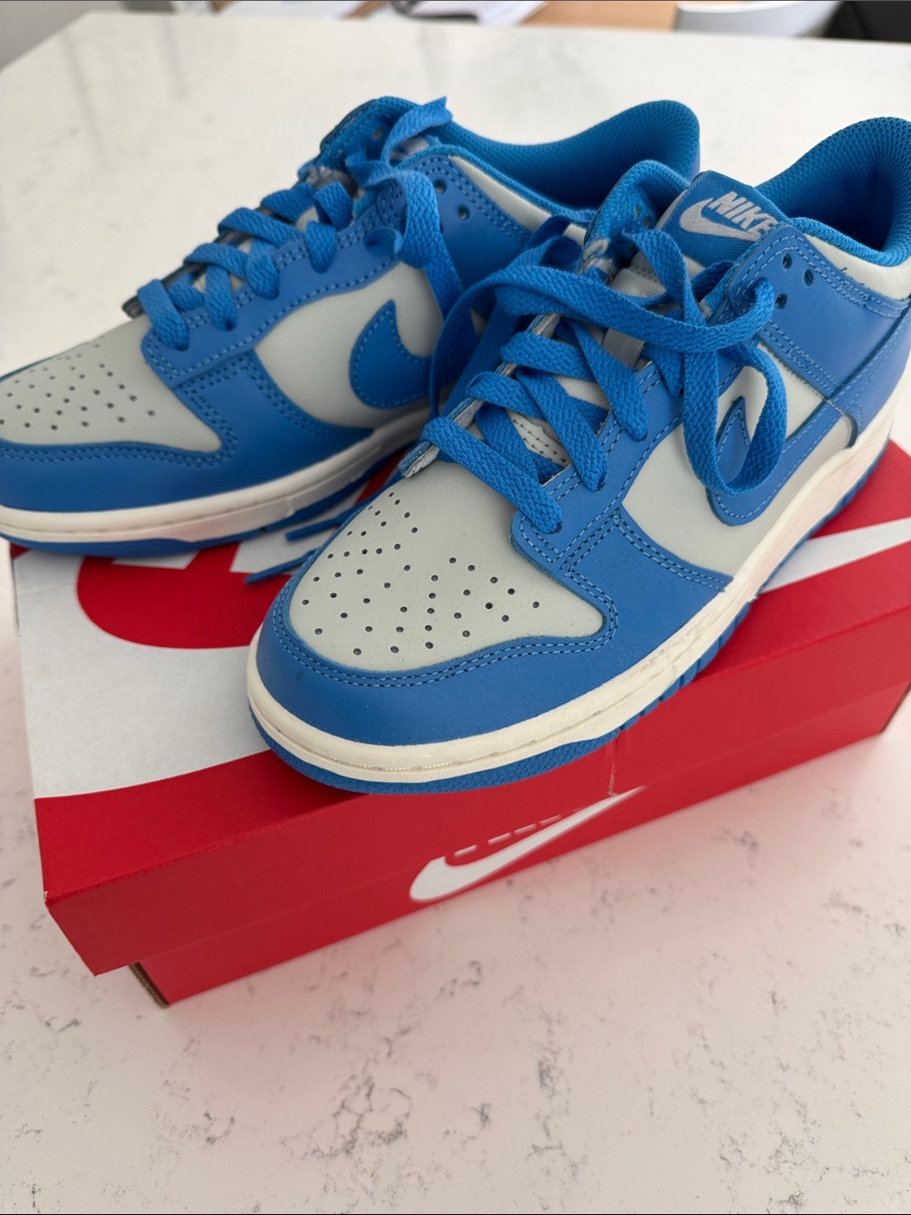 NIB Youth Nike Dunk 6Y